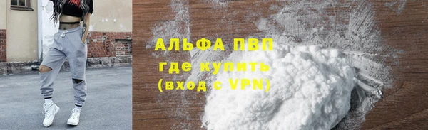 стафф Алексин