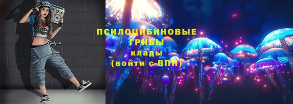 молекула духа Алзамай