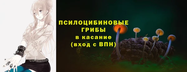 молекула духа Алзамай