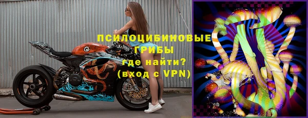 молекула духа Алзамай