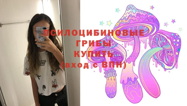 молекула духа Алзамай