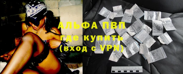 стафф Алексин