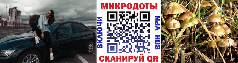 Галлюциногенные грибы мухоморы  МЕГА онион  Камбарка 